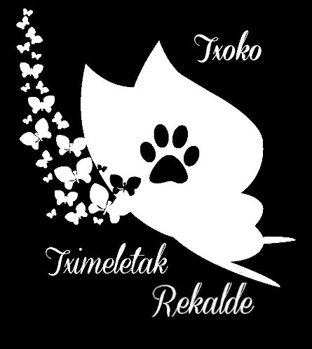 Txoko Tximeletak Rekalde